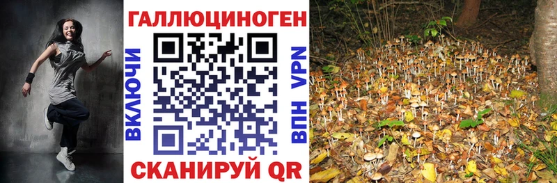 Псилоцибиновые грибы ЛСД  Купить закладки  Балашиха 
